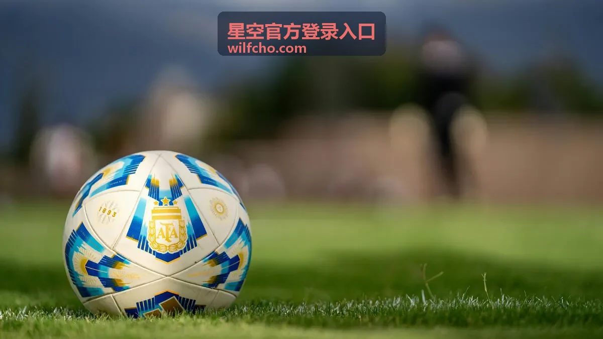 星空官方登录入口账号安全自查与登录环境核对示意